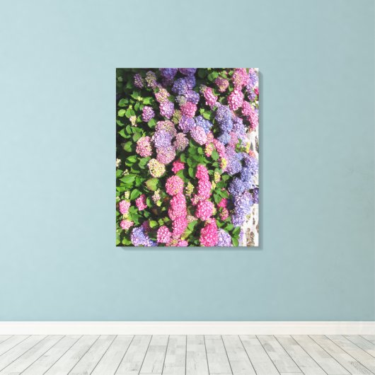 Hydrangea Bush Leinwanddruck (Insitu (Holzboden))