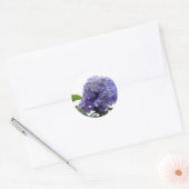 Hydrangea Bush Stickers (Umschlag)