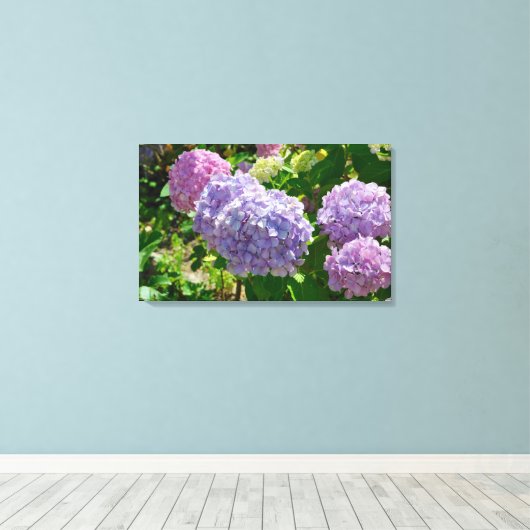 Hydrangea Canvas Print Leinwanddruck (Insitu (Holzboden))