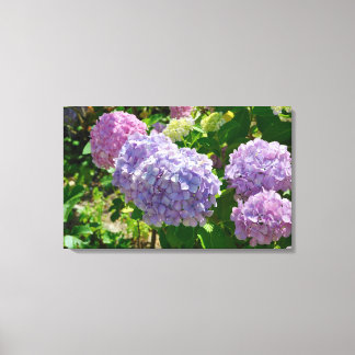 Hydrangea Canvas Print Leinwanddruck