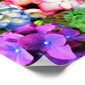 Hydrangea Collage Poster (Ecke)