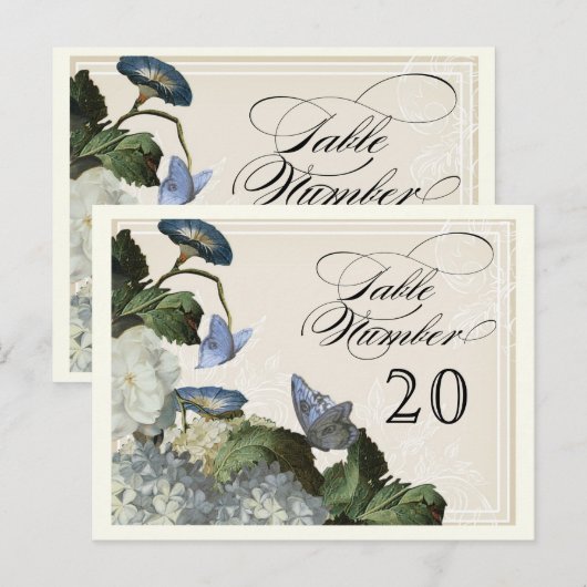 Hydrangea der Morning Glory - Tischsitzanzahl Postkarte (Vorne/Hinten)