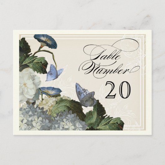 Hydrangea der Morning Glory - Tischsitzanzahl Postkarte (Vorderseite)