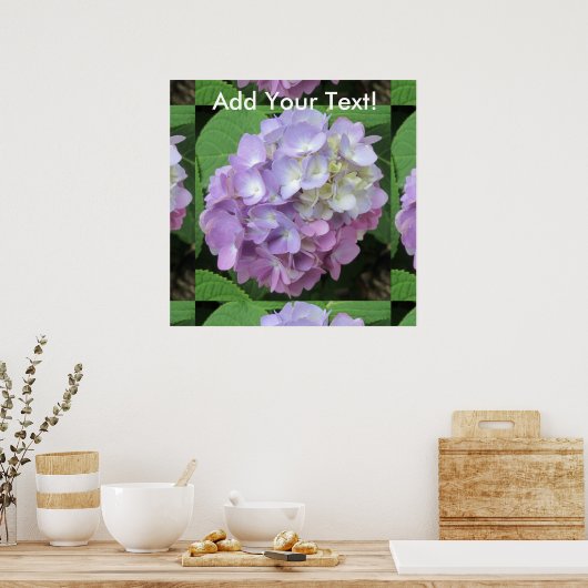 Hydrangea Farbige Blume Poster (Küche)