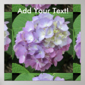 Hydrangea Farbige Blume Poster (Vorne)