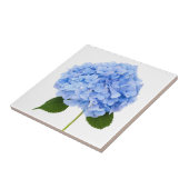 Hydrangea Fliese (Seite)