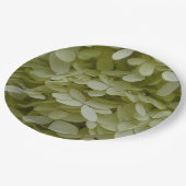 Hydrangea Floral Celadon Green Pappteller (Schrägansicht)