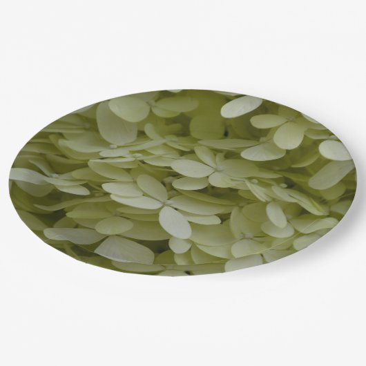 Hydrangea Floral Celadon Green Pappteller (Schrägansicht)