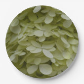 Hydrangea Floral Celadon Green Pappteller (Vorderseite)