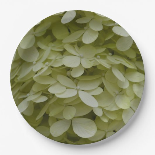 Hydrangea Floral Celadon Green Pappteller (Vorderseite)
