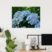 Hydrangea Flower Garden Kunstdrucke Blue Hydrangea Poster (Heimbüro)