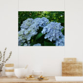 Hydrangea Flower Garden Kunstdrucke Blue Hydrangea Poster (Küche)