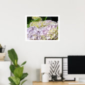 Hydrangea Flower Garden Kunstdrucke Hydrangeas Poster (Heimbüro)