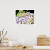 Hydrangea Flower Garden Kunstdrucke Hydrangeas Poster (Küche)