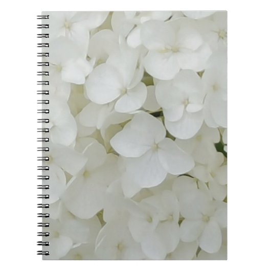 Hydrangea Flowers Floral White Elegant Blossom Notizblock (Vorderseite)