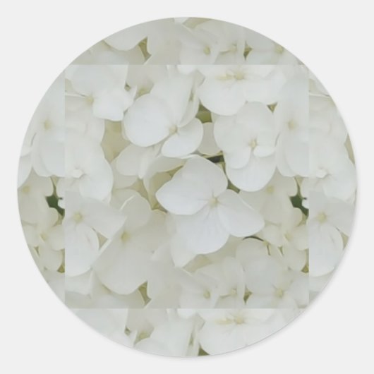 Hydrangea Flowers Floral White Elegant Blossom Runder Aufkleber (Vorderseite)