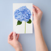 Hydrangea Flyer (Handgriff)