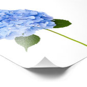 Hydrangea Fotodruck (Ecke)