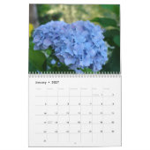 HYDRANGEA GARDENS Calendar Blue Hydrangeas Kalender (Jan 2027)