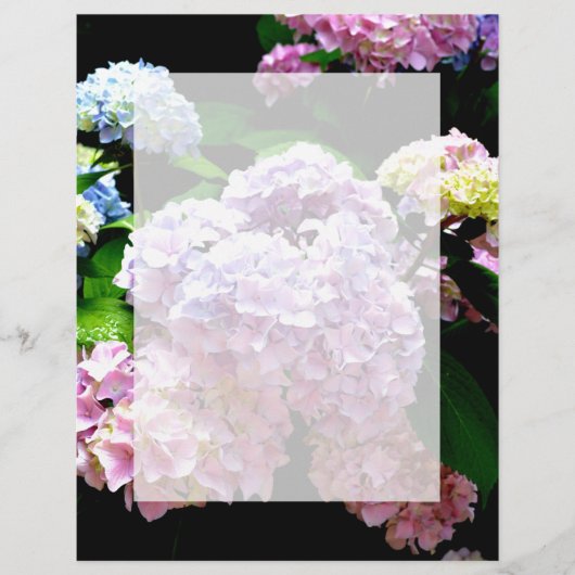 Hydrangea-Garten, rosa, blau, lila Blumen (Vorderseite)