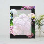 Hydrangea-Garten, rosa, blau, lila Blumen (Stehend Vorderseite)