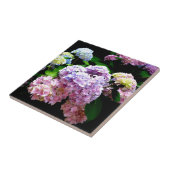 Hydrangea-Garten, rosa, blau, lila Blumen Fliese (Seite)