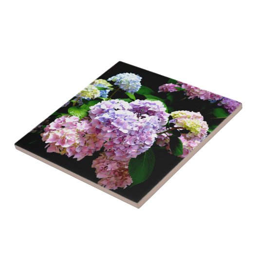 Hydrangea-Garten, rosa, blau, lila Blumen Fliese (Seite)