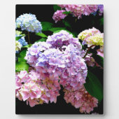 Hydrangea-Garten, rosa, blau, lila Blumen Fotoplatte (Vorderseite)
