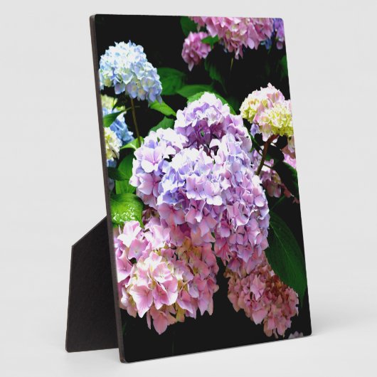 Hydrangea-Garten, rosa, blau, lila Blumen Fotoplatte (Seite)