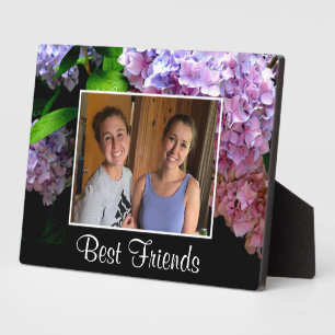 Hydrangea-Garten, rosa, blau, lila Blumen Fotoplatte