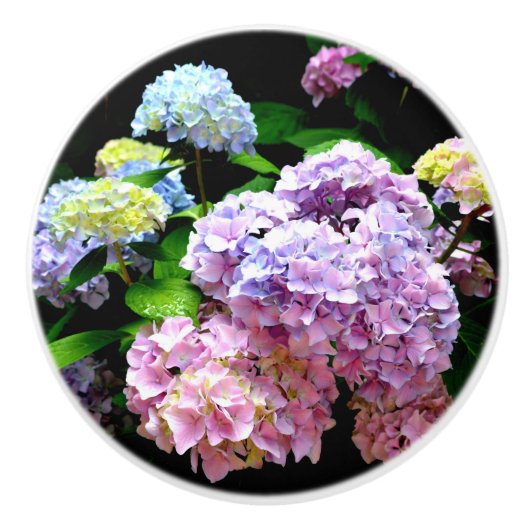 Hydrangea-Garten, rosa, blau, lila Blumen Keramikknauf (Vorderseite)