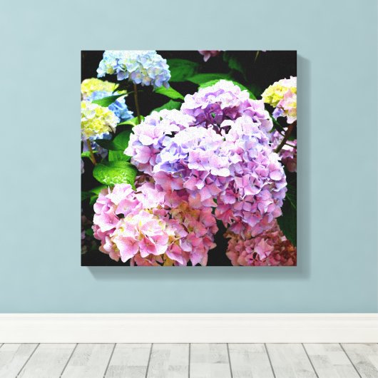 Hydrangea-Garten, rosa, blau, lila Blumen Leinwanddruck (Insitu (Holzboden))
