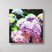 Hydrangea-Garten, rosa, blau, lila Blumen Leinwanddruck (Vorderseite)