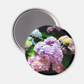 Hydrangea-Garten, rosa, blau, lila Blumen Magnet (Vorderseite/Rückseite)