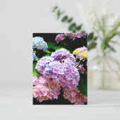 Hydrangea-Garten, rosa, blau, lila Blumen Postkarte (Stehend Vorderseite)