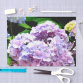 Hydrangea-Garten, rosa, blau, lila Blumen Seidenpapier (Handwerk)