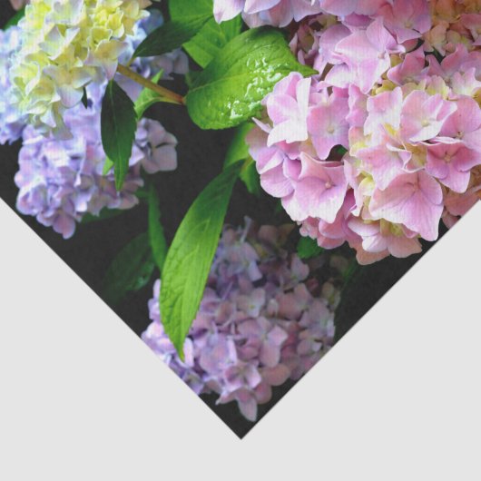Hydrangea-Garten, rosa, blau, lila Blumen Seidenpapier (Ausschnitt)