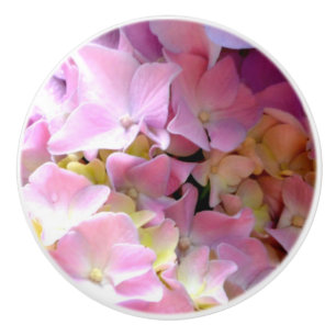 Hydrangea Garten rosa blütenblaue lila Blüte Keramikknauf