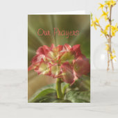 Hydrangea-Gebetskarte oder jede Gelegenheit Karte (Gelbe Blume)