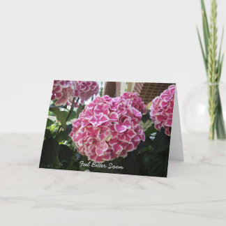 Hydrangea Get Well Card Karte