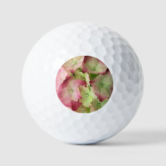 Hydrangea Golfball (Vorderseite)