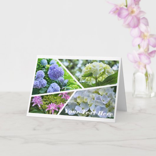 Hydrangea [Greeting Card] カード Karte (Orchidee)