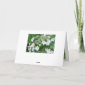 Hydrangea [Greeting Card] カード Karte (Rückseite)