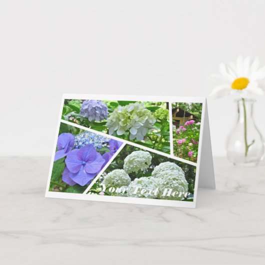 Hydrangea [Greeting Card] カード Karte (Kleine Pflanze)