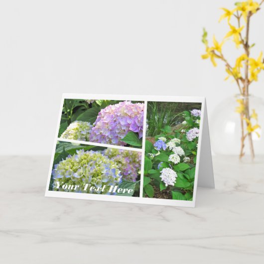 Hydrangea [Greeting Card] カード Karte (Gelbe Blume)