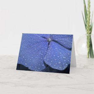 Hydrangea-Gruß-Karte Karte