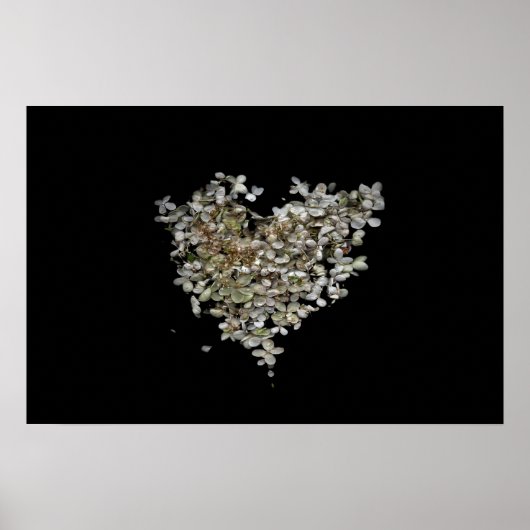 Hydrangea Herz Botanisches Poster (Vorne)