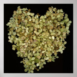 Hydrangea Herz Botanisches Poster |Lovely2