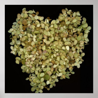 Hydrangea Herz Botanisches Poster |Lovely2