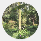 Hydrangea Holzbaume Naturfotografie Runder Aufkleber (Vorderseite)